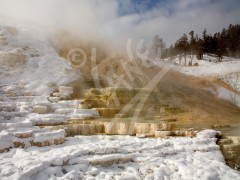 WYOMING Mammoth Hot Springs
